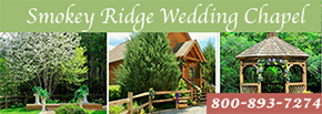 in the smokies wedings