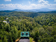 bear pause lookout