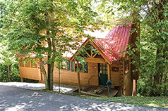 hummingbird haven